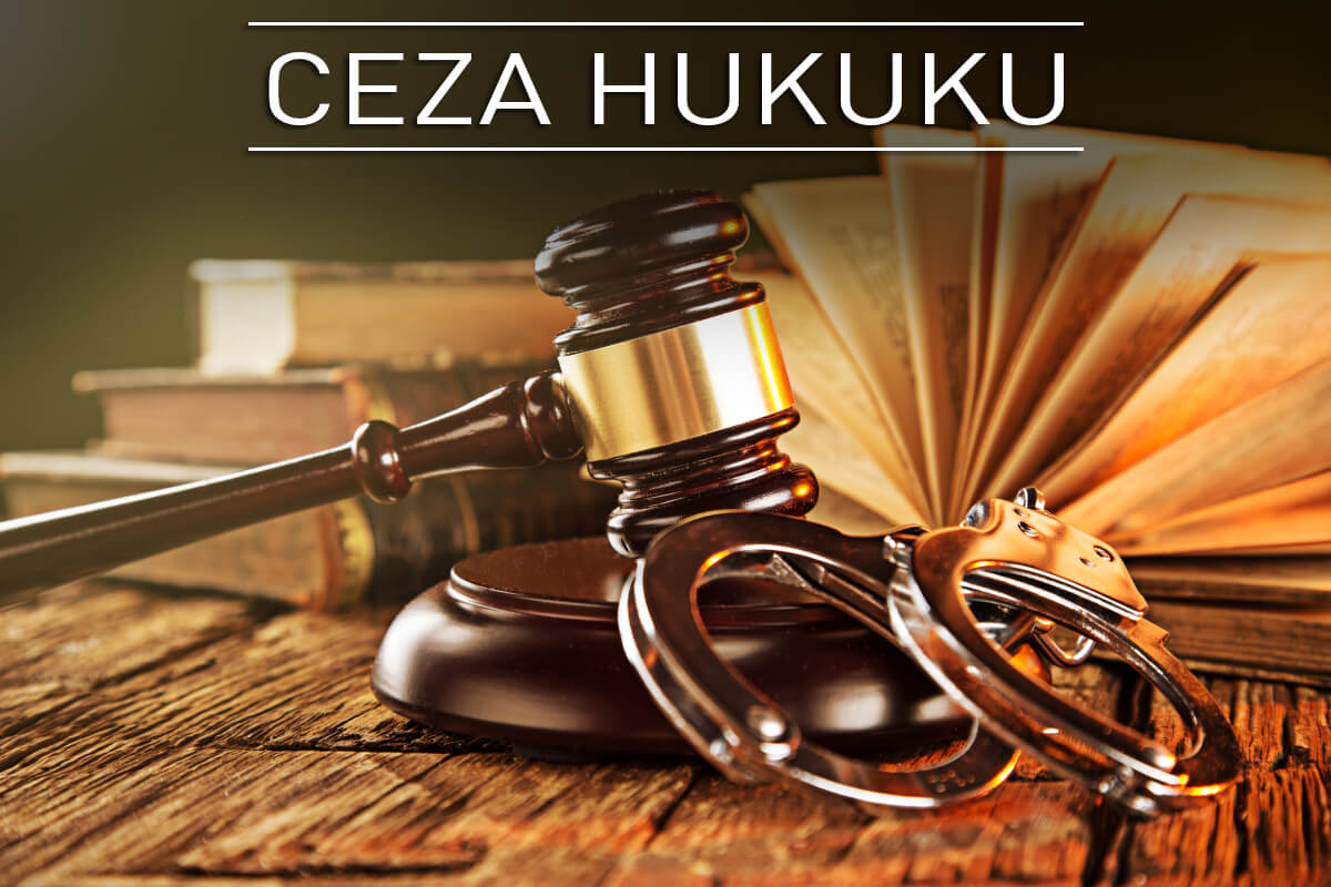 adana ceza hukuku